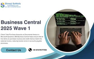 Business Central 2025 Wave 1: Check Total Purchase Amounts on Documents