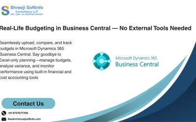 Real-Life Budgeting in BC: From Excel to Execution Without External Tools
