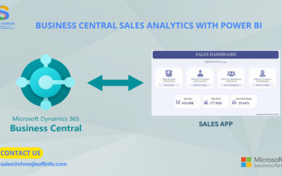 Business Central Sales Analytics with Power BI: Turn Data into Actionable Insights